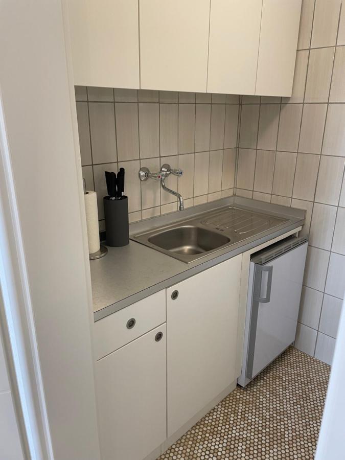 Sophie Superior Apartment Karlsruhe Eksteriør billede